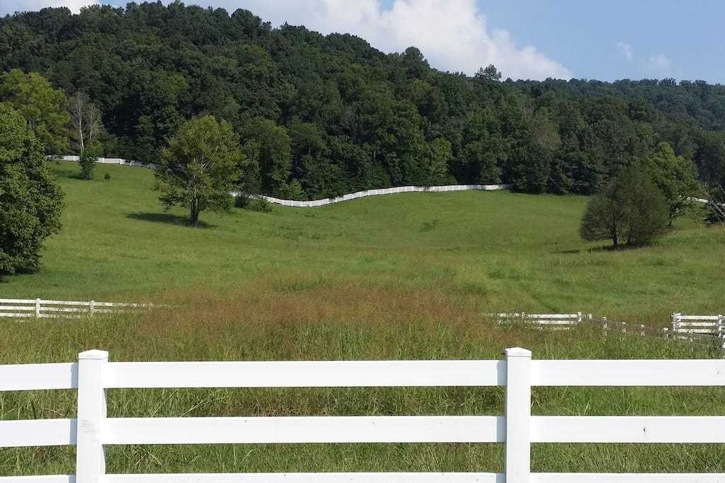 Hay Pasture