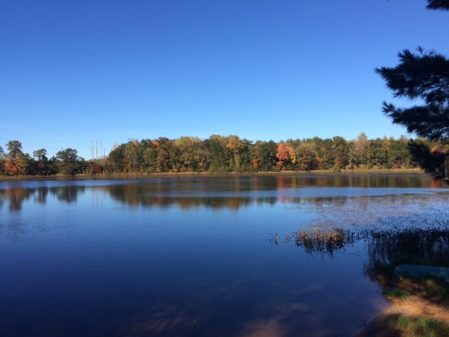 Gorgeous pictures from the cabin!