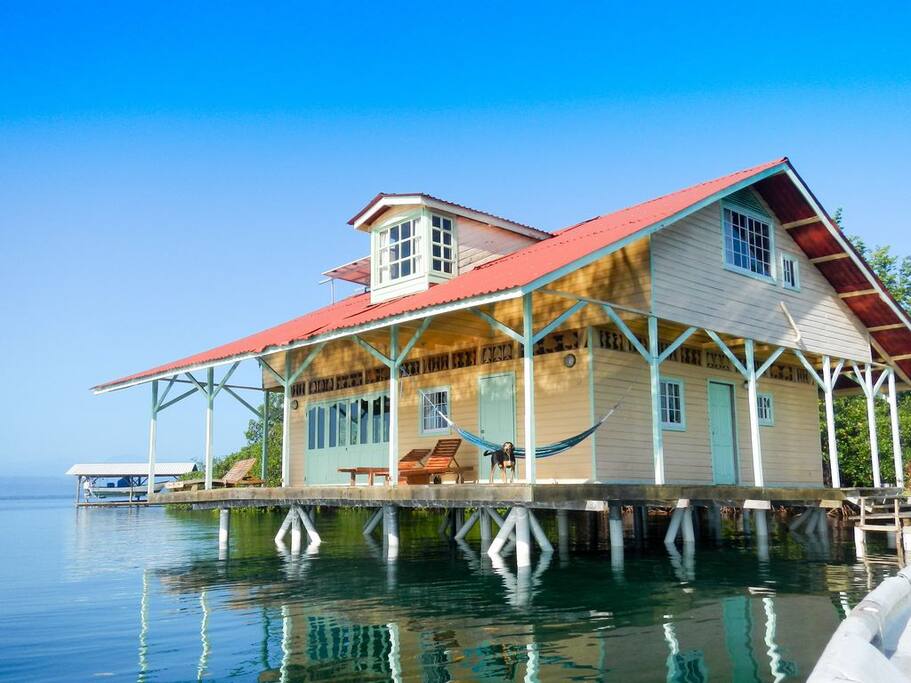 Jump off the front porch into the water