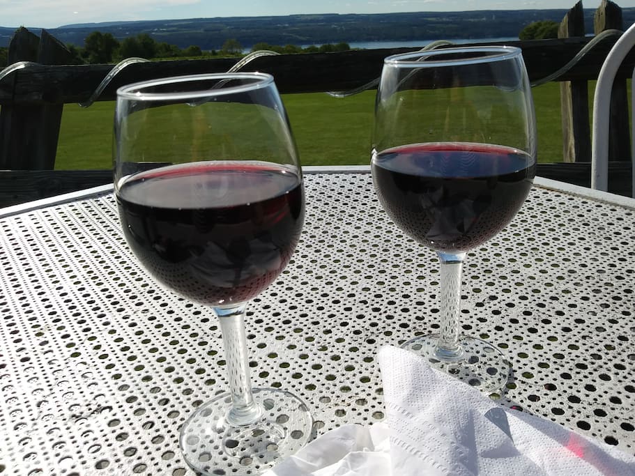 Enjoy our FLX wines & take a tour of the popular Seneca Lake Wine Trail.