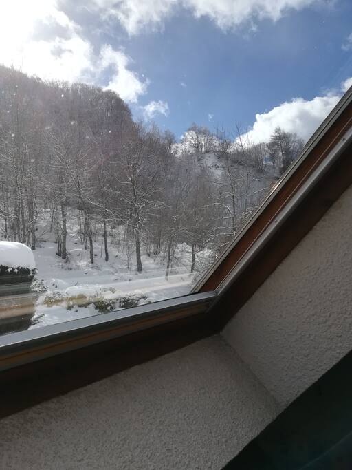 Vue depuis la fenêtre du salon
