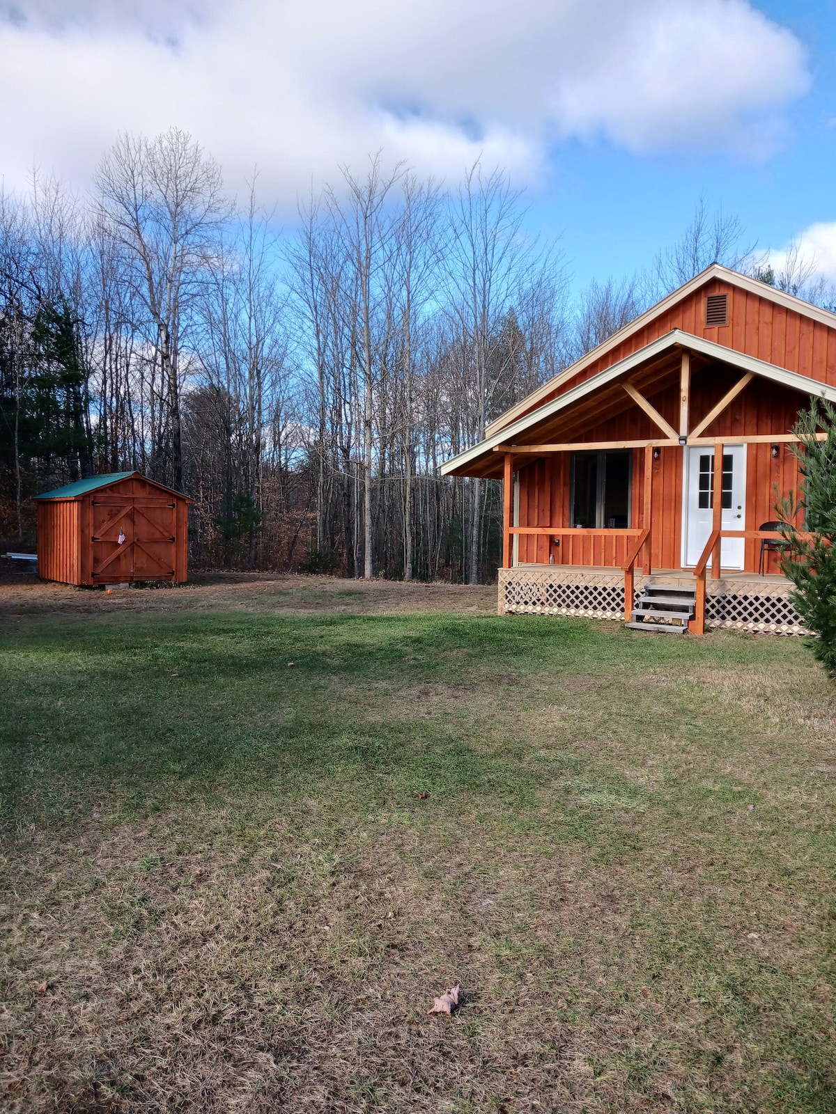 A newly built cabin is visible with a vibrant orange exterior, set against a backdrop of tall, bare trees. A small shed is positioned nearby on a grassy area, which provides space for outdoor activities.