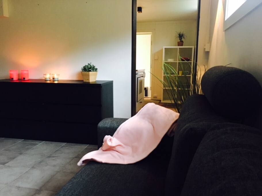 Stue med sofa/seng. Kan bli dobbelseng