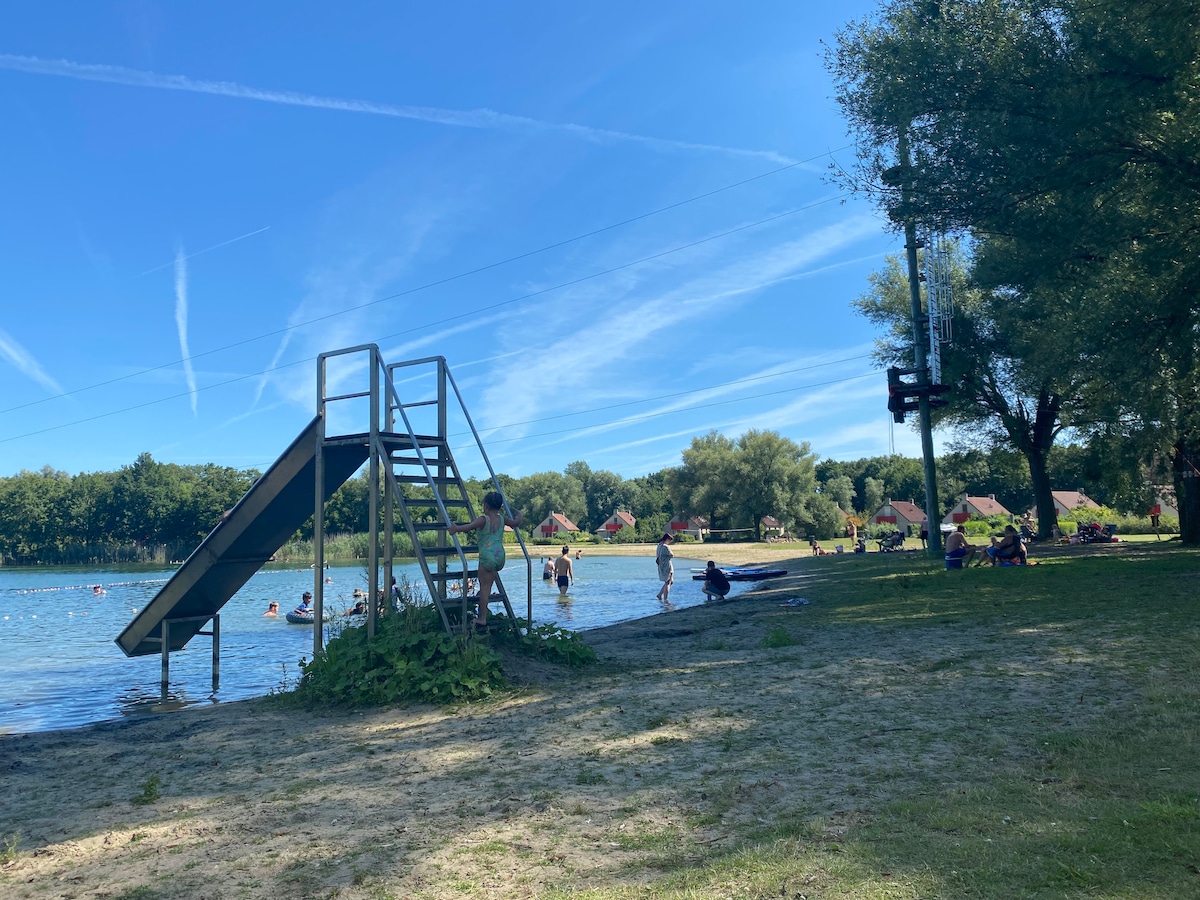 A recreational area is depicted by a sandy shore leading to a swimming lake, featuring a diving platform and various visitors enjoying activities. Lush trees surround the area, and small boats can be seen on the water, adding to the lively environment.