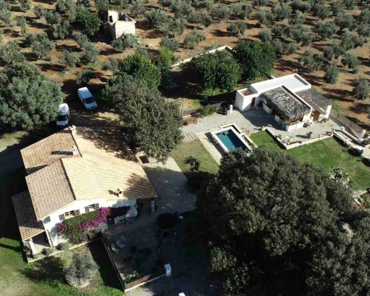 An aerial view reveals a spacious property with a Mediterranean-style house featuring a terracotta roof. Surrounding olive trees create a natural setting, while a swimming pool and outdoor lounge areas can be seen, providing ample space for relaxation and enjoyment.