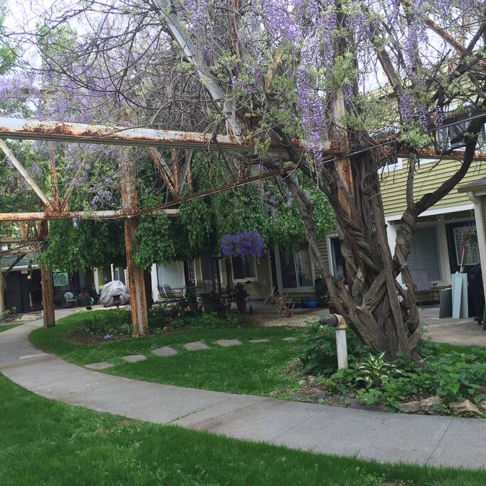 Beautiful Courtyard where neighbors gather to enjoy a cocktail