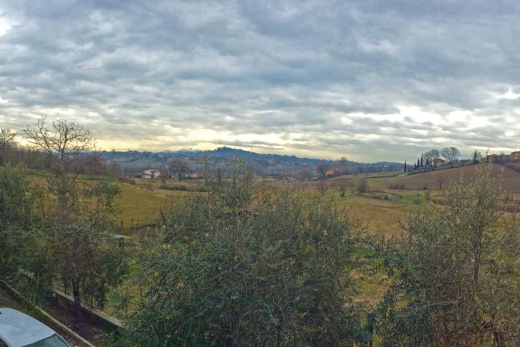 View from the House