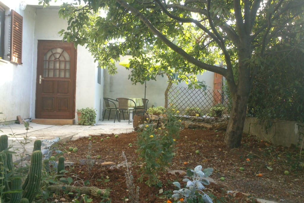 Entrance and garden