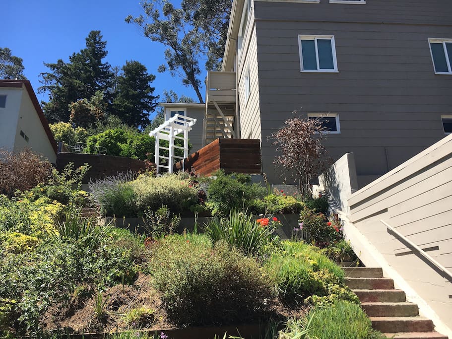 The stair walkway up to the Floral Garden Guest Suite. Feel free to park in our driveway, in front of the garage doors, or use the ample free street parking.