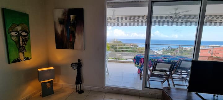 Bel Appartement Avec Terrasse Vue Mer - Fort-de-France