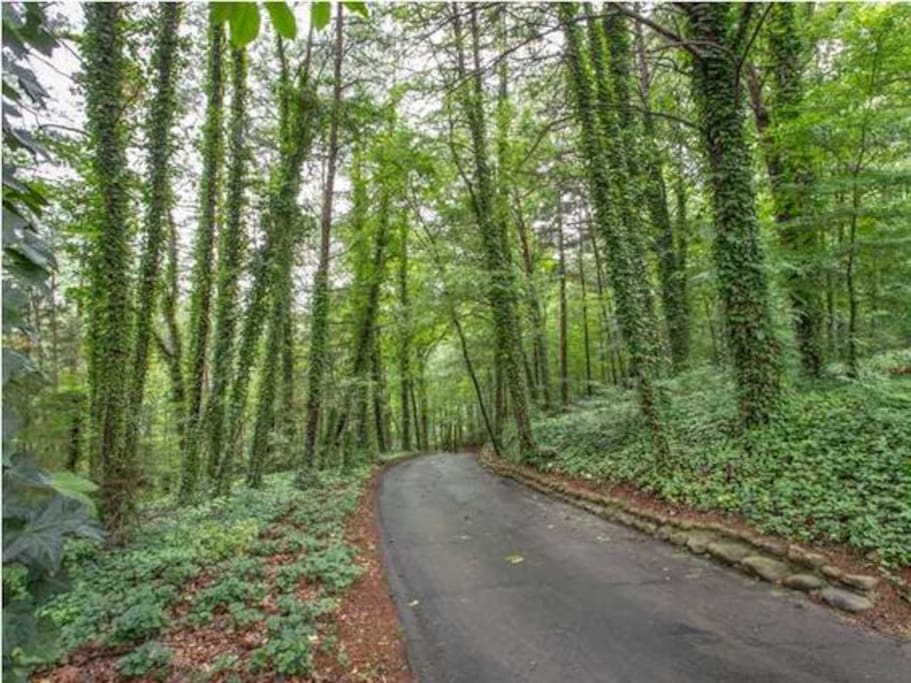 Driveway