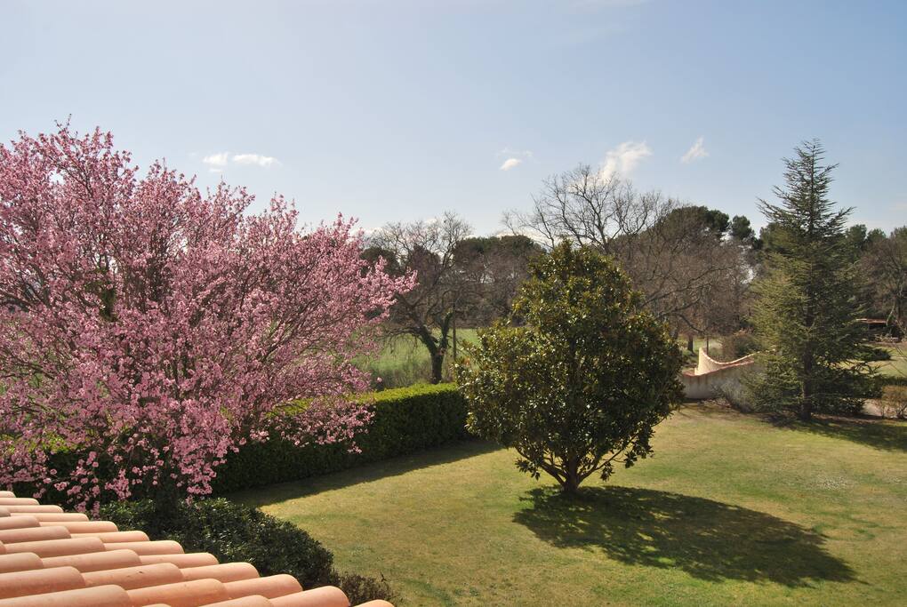 Vue de votre terrasse privative.