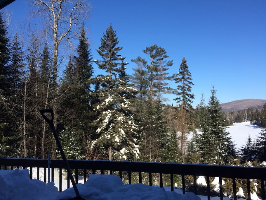 sunny winter day