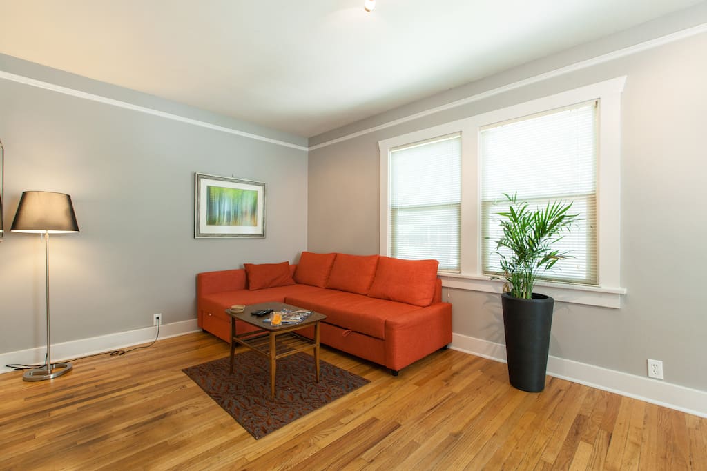 Comfy pullout couch to accommodate 2 extra guests