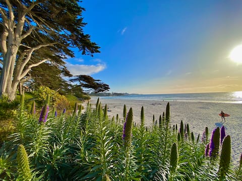 Top Airbnb: Prime Downtown Location-2 Br/2Bath/Private Office in Carmel By The Sea