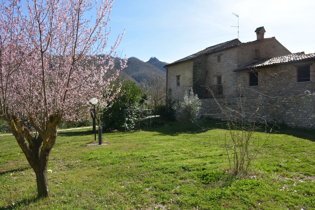 Un ampio giardino esterno abbraccia il B&B "Oasi del Benessere"