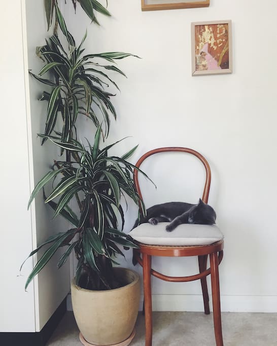 Entrance foyer (kitty not included)
