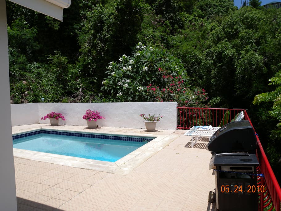 Pool, looking east, before Irma