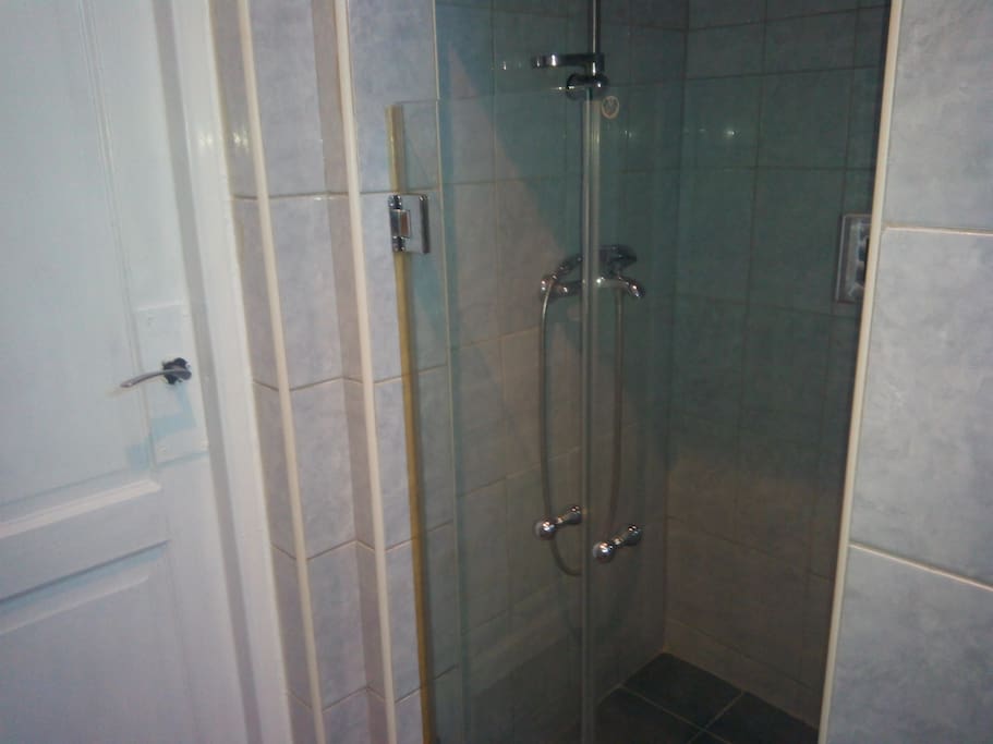 The shower in the bathroom
