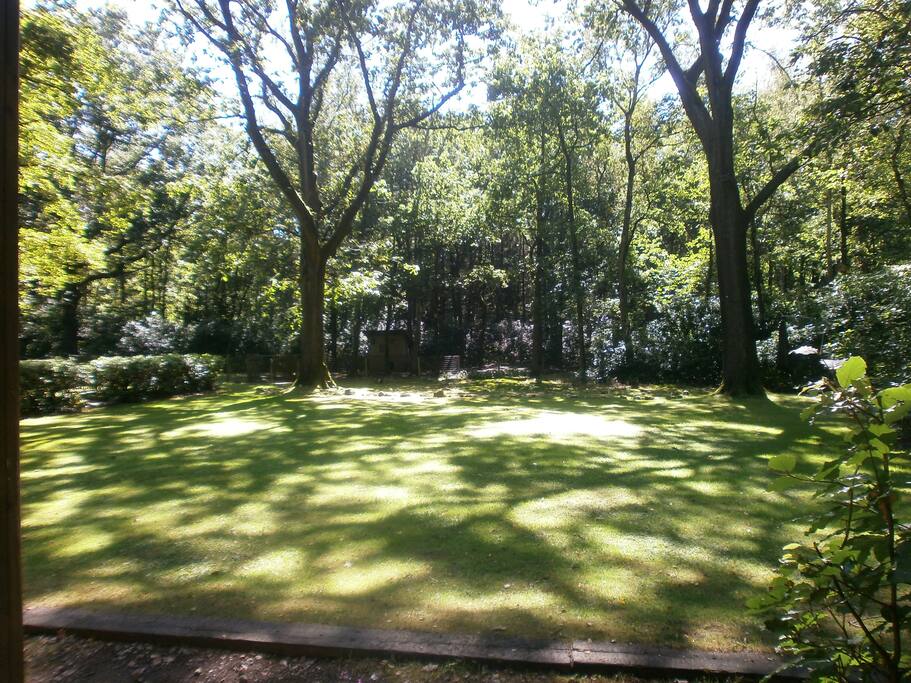 Ruime gras - en mospartijen om lekker op te spelen,