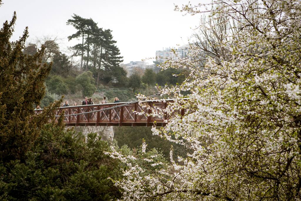 Photo of Buttes-Chaumont in Buttes-Chaumont, Paris
