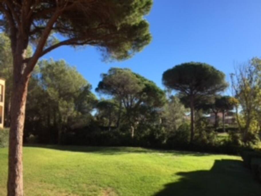 Vue depuis la terrasse