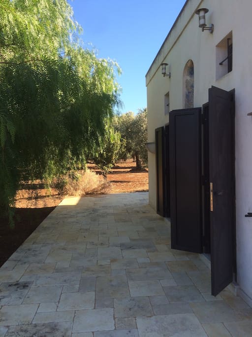 The house is surrounded by countryside on all sides, mostly olive and fig trees.