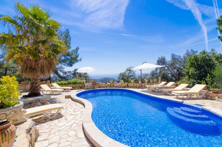 Club Villamar – Blossom