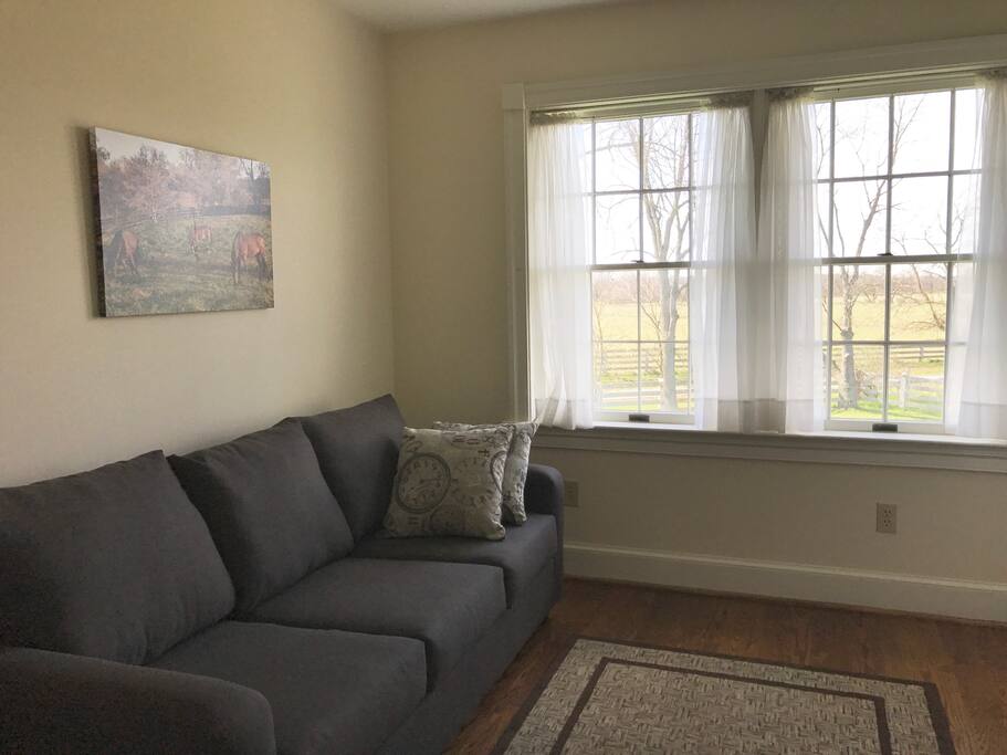 Charlie room with sofa bed folded