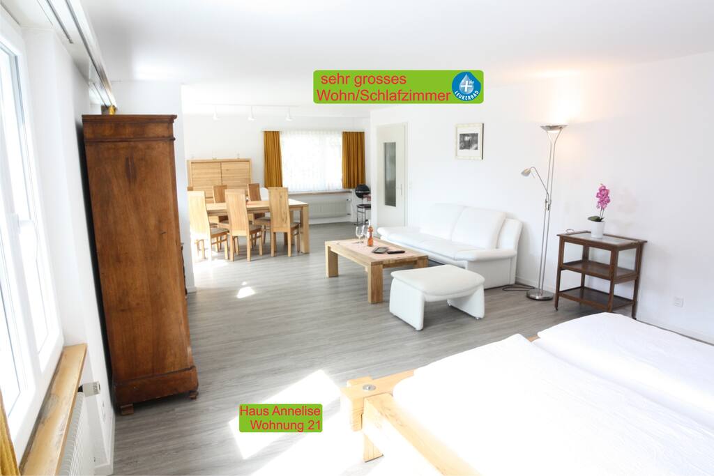 Wohn- und Schlafzimmer mit Esstisch