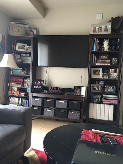 55" smart TV with DISH satellite service