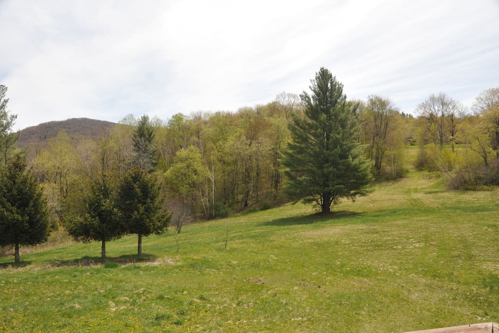 View from deck.