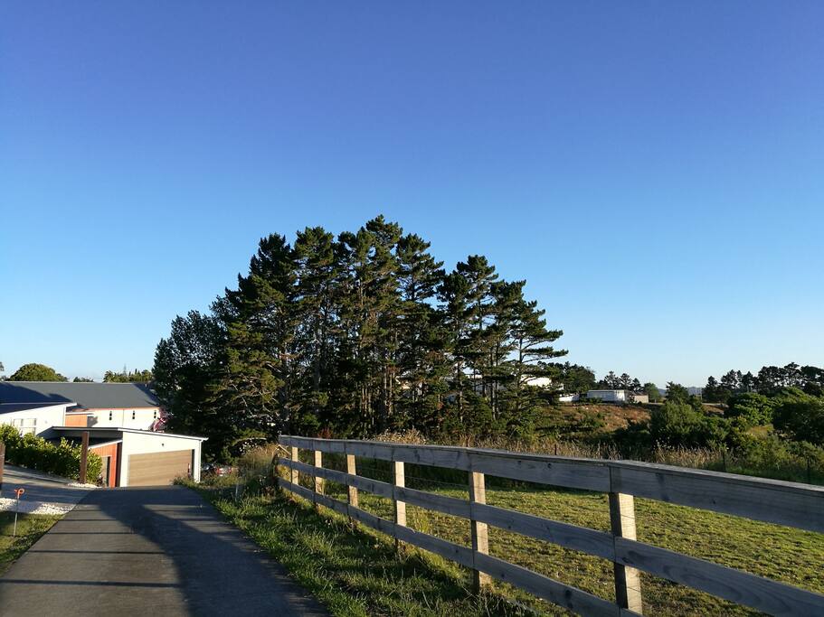 private driveway to house