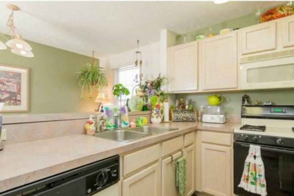 Apartments For Rent In Cleveland Ohio Near Cleveland Clinic Apartments For Rent In Cleveland Ohio Near Cleveland Clinic