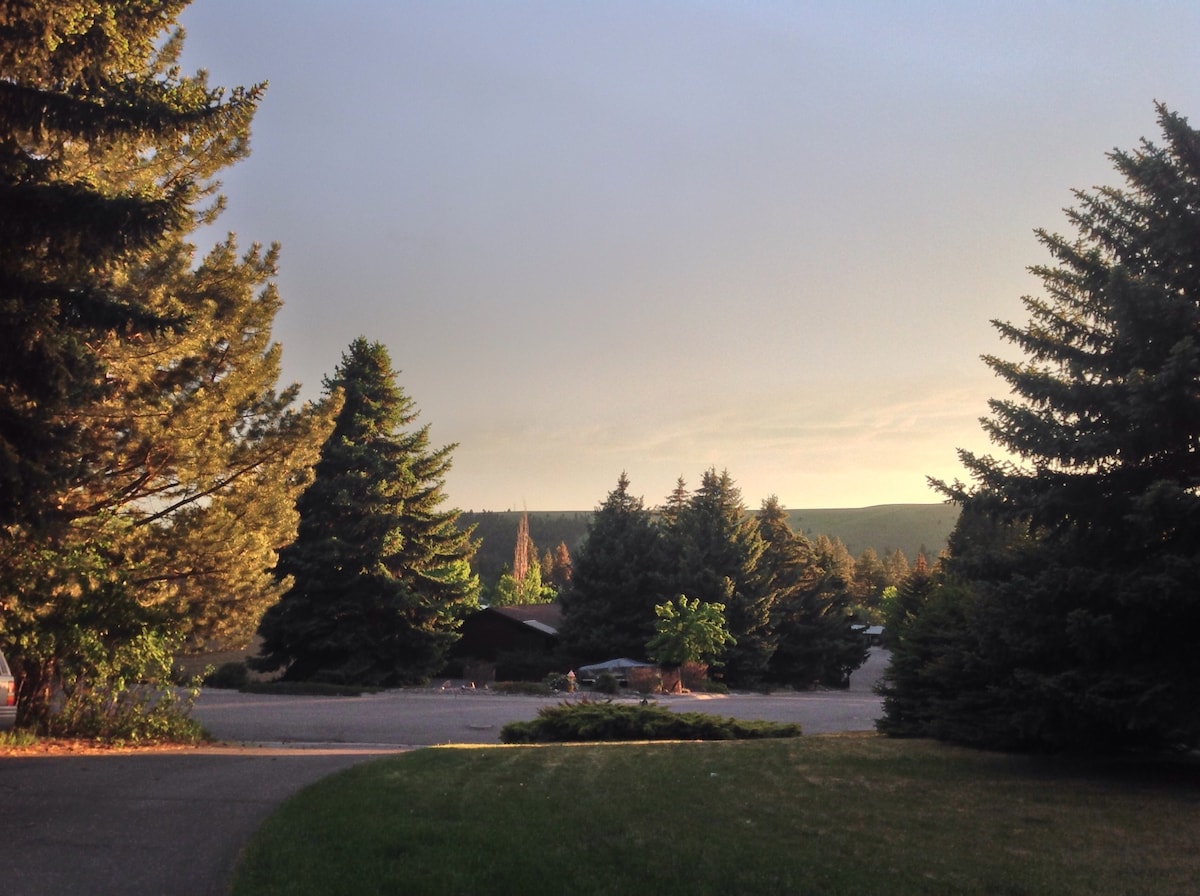 Private room in Rattlesnake Valley near I90 Houses for Rent in