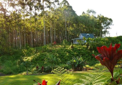 Kapehu Falls Creekside Cottage