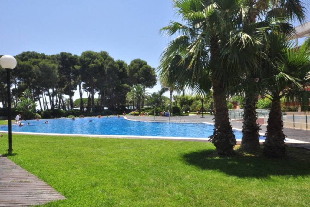viata frontal de piscina i bosc