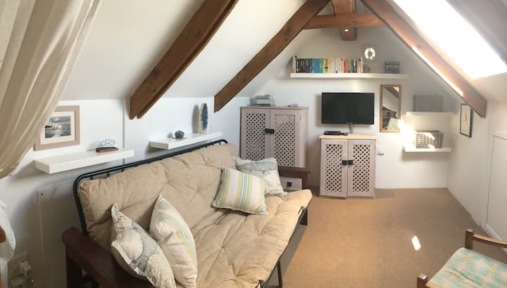 مستوى الميزان مع سرير أريكة ومكتبة وتلفزيون.