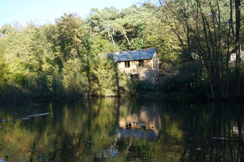 Full cottage for 12 people