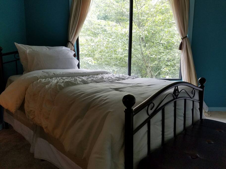 Tons of natural light and an amazing view of Lake Whetstone Park plus a 40"HDTV, brand new 5* queen mattress, and gorgeous new carpeting!