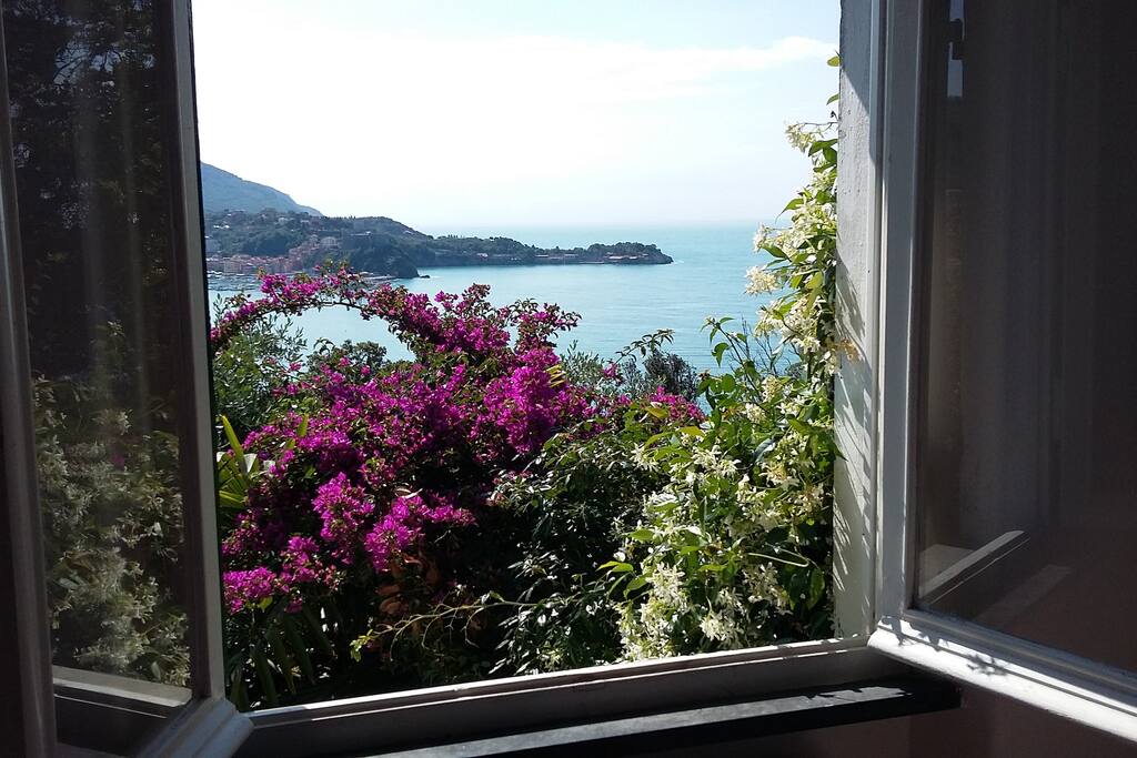 View from the bedroom
