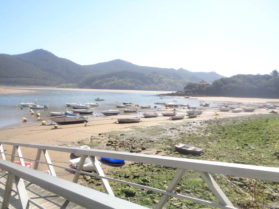 Playa