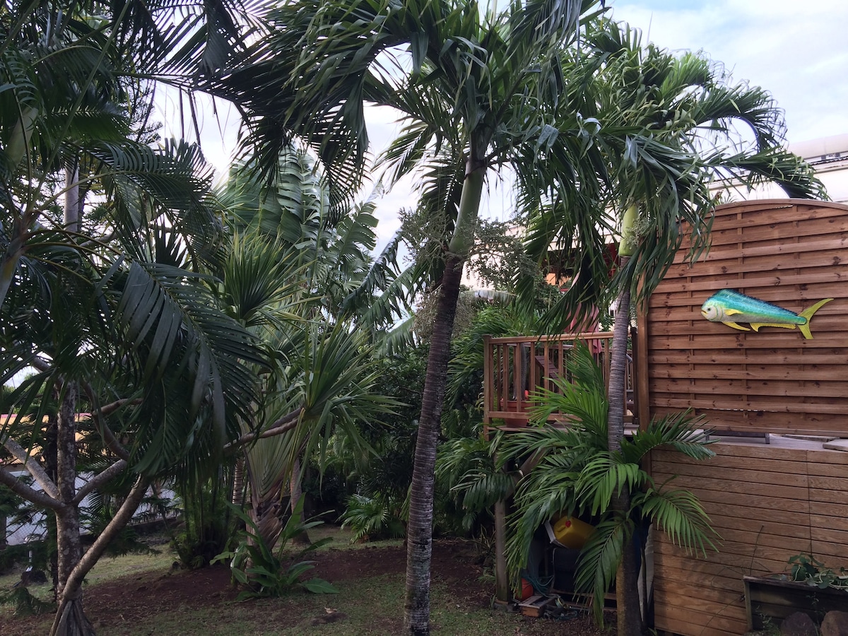 The exterior features lush greenery with various palm trees and tropical plants creating a serene environment. A wooden structure is partially visible, complemented by a decorative fish sculpture mounted on the wall. Natural light enhances the vibrant foliage.