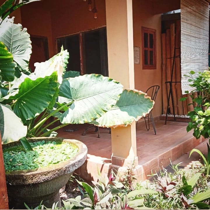 A serene outdoor space is surrounded by lush greenery, featuring large tropical leaves and potted plants. Two black chairs stand on a tiled patio, under the shade of the structured overhang. Natural light filters through the leaves, contributing to a peaceful atmosphere.