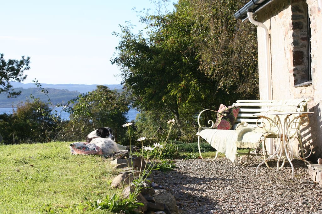 October 2016 - beautiful sunshine. Both dog and guest enjoy the day on the south/west garden front of the cottage