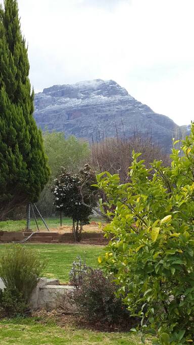 View from the verandah