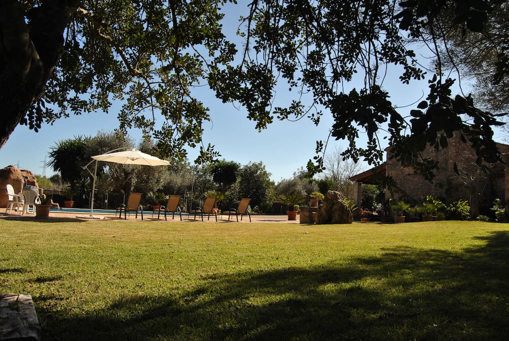 Jardín