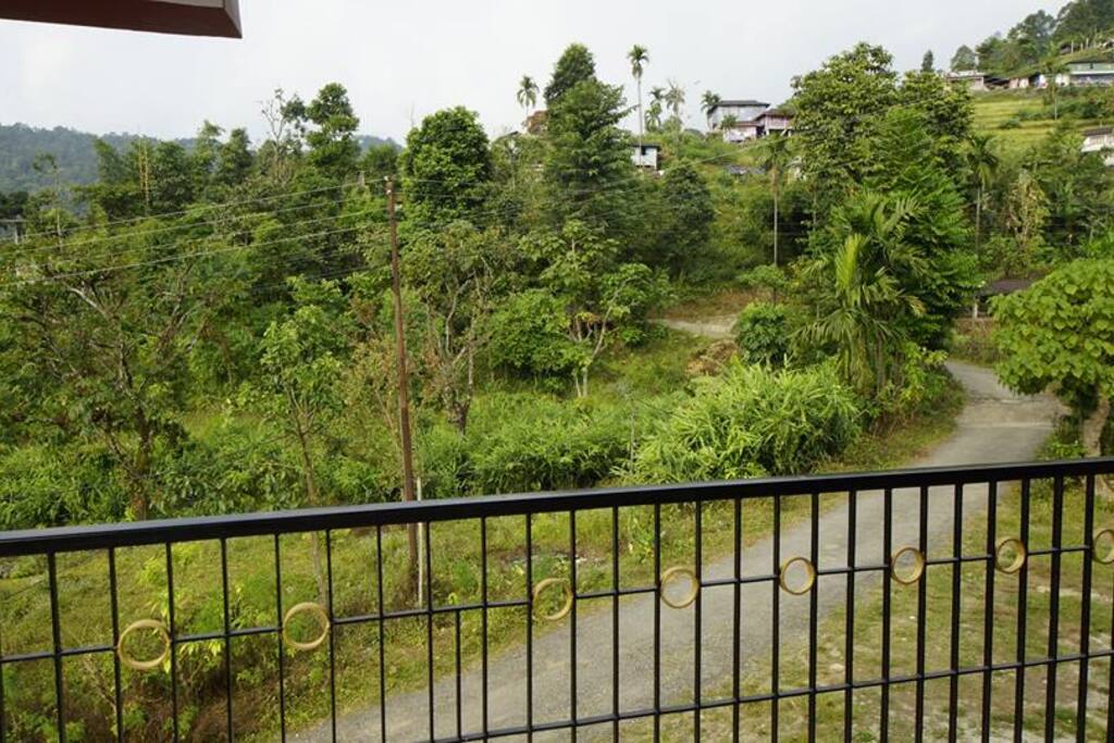 The way towards neora valley national park
