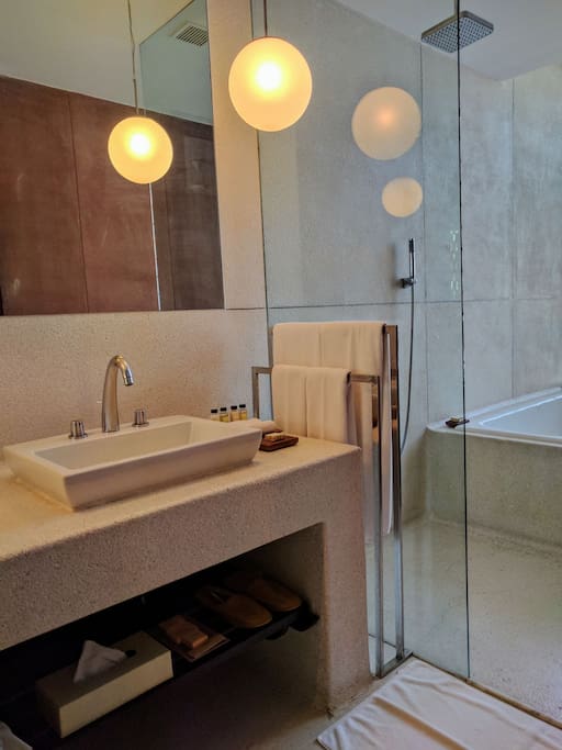The bathroom