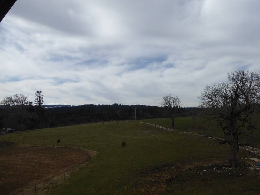 Paysage depuis la salle à manger